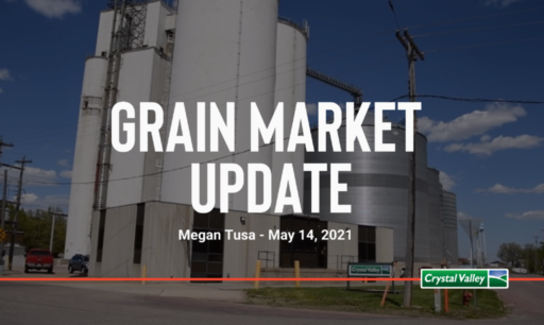 Grain Update
